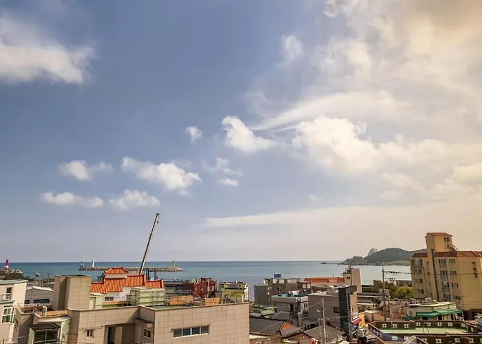 Gijangyeonhwari No,25